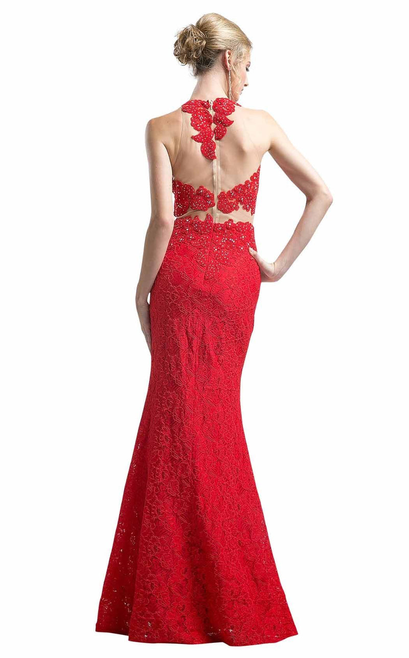 Cinderella Divine 1586 Red