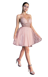 1 of 5 Cinderella Divine CD0148 Blush