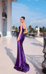 6 of 6 Tina Holly Couture TT004 Royal/Purple