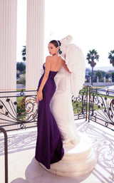 6 of 6 Tina Holly Couture TT009B Royal/Purple