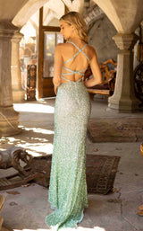 10 of 11 Primavera Couture 3922 Mint-Ombre