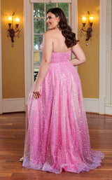 6 of 6 Rachel Allan 70292W Pink Ombre