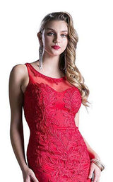 11 of 16 Cinderella Divine 8936 Red