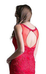 15 of 16 Cinderella Divine 8936 Red