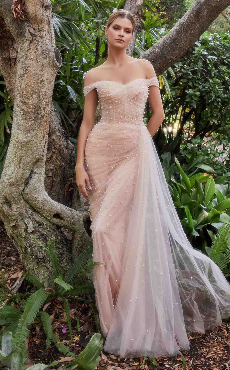 Andrea and Leo A1219 Dress Blush