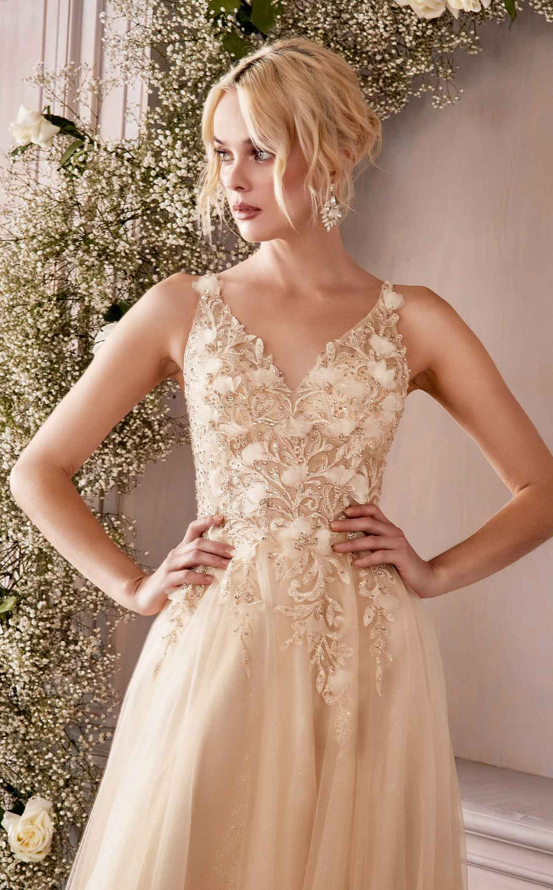 Cinderella Divine CD0181 Dress Champagne