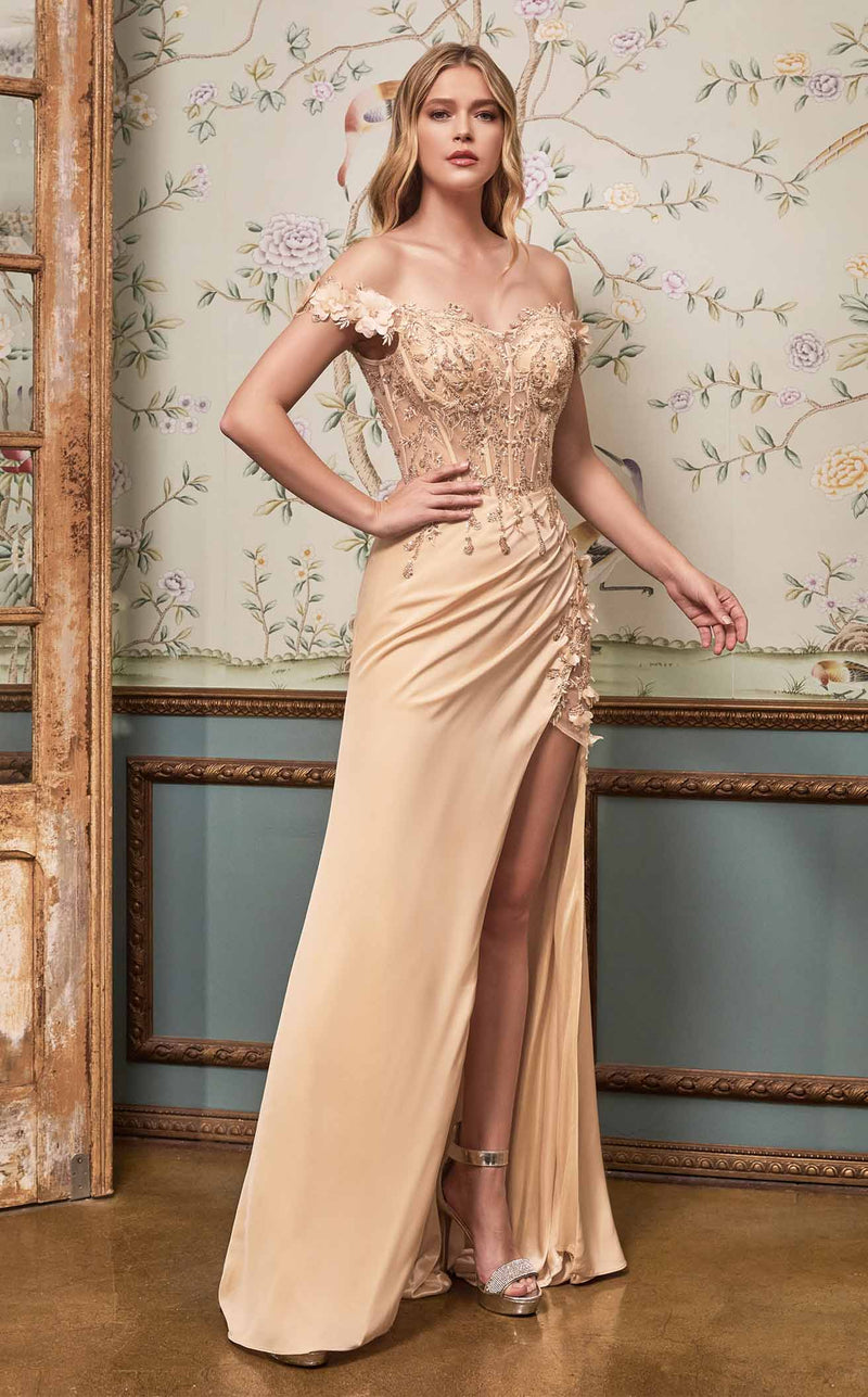 Cinderella Divine CD0186 Dress Champagne