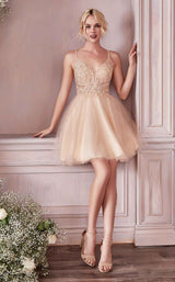 3 of 5 Cinderella Divine CD0190 Dress Champagne