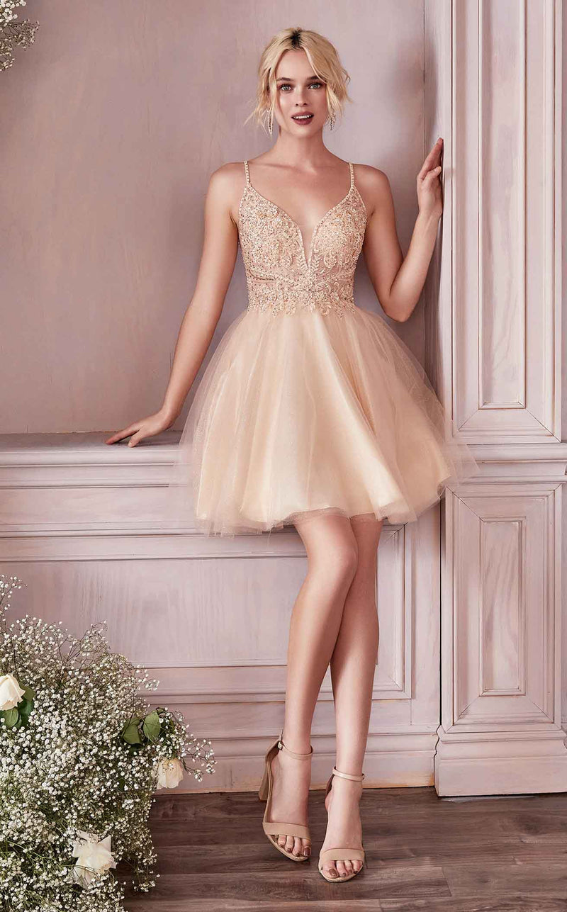 Cinderella Divine CD0190 Dress Champagne