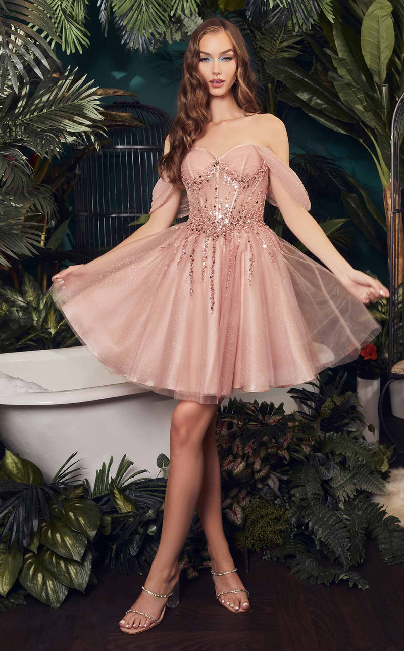 LaDivine CD0211 Dress Blush