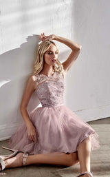 2 of 6 Cinderella Divine CD20 Dress Mauve