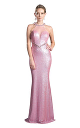 1 of 4 Cinderella Divine CR814 Pink