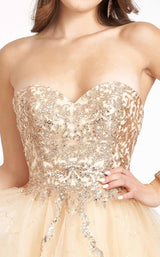 13 of 20 Elizabeth K GS1980 Dress Champagne