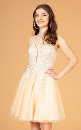 11 of 16 Elizabeth K GS3094 Dress Champagne