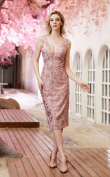 2 of 7 Jadore J22063 Dusty Pink