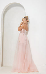 8 of 8 Terani 241P2087 Blush