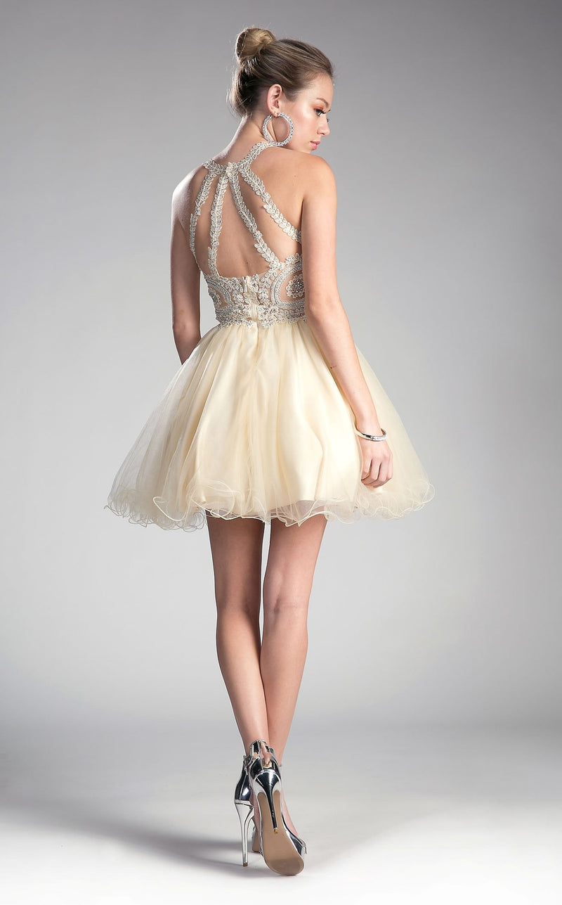 Cinderella Divine UJ0119 Dress Champagne