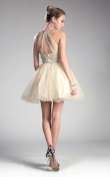 6 of 7 Cinderella Divine UJ0119 Dress Champagne