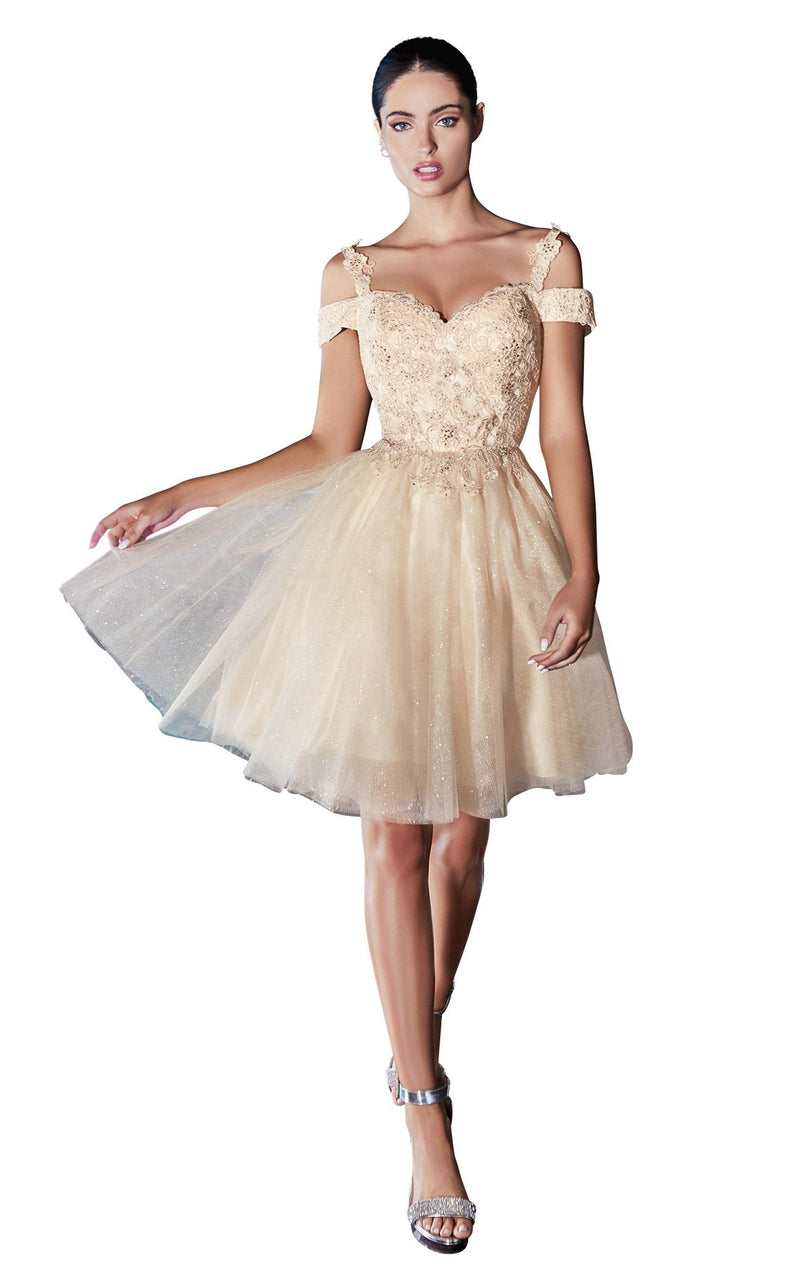 Cinderella Divine CD0132 Dress Champagne