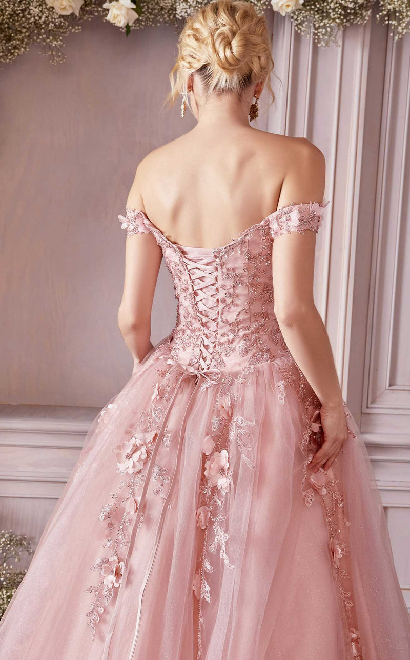 Cinderella Divine CD0185 Dress Rose-Gold