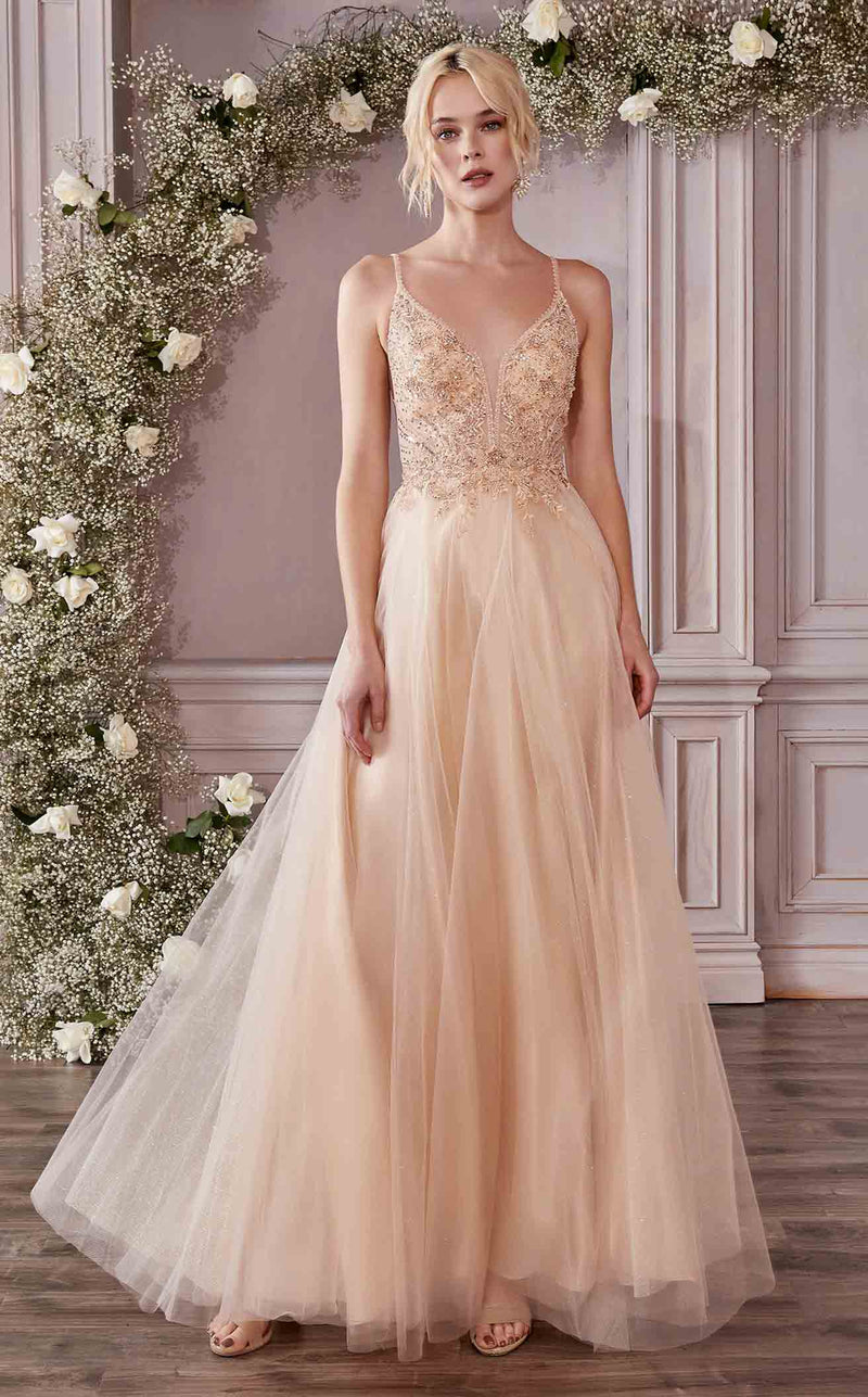 Cinderella Divine CD0195 Dress Champagne