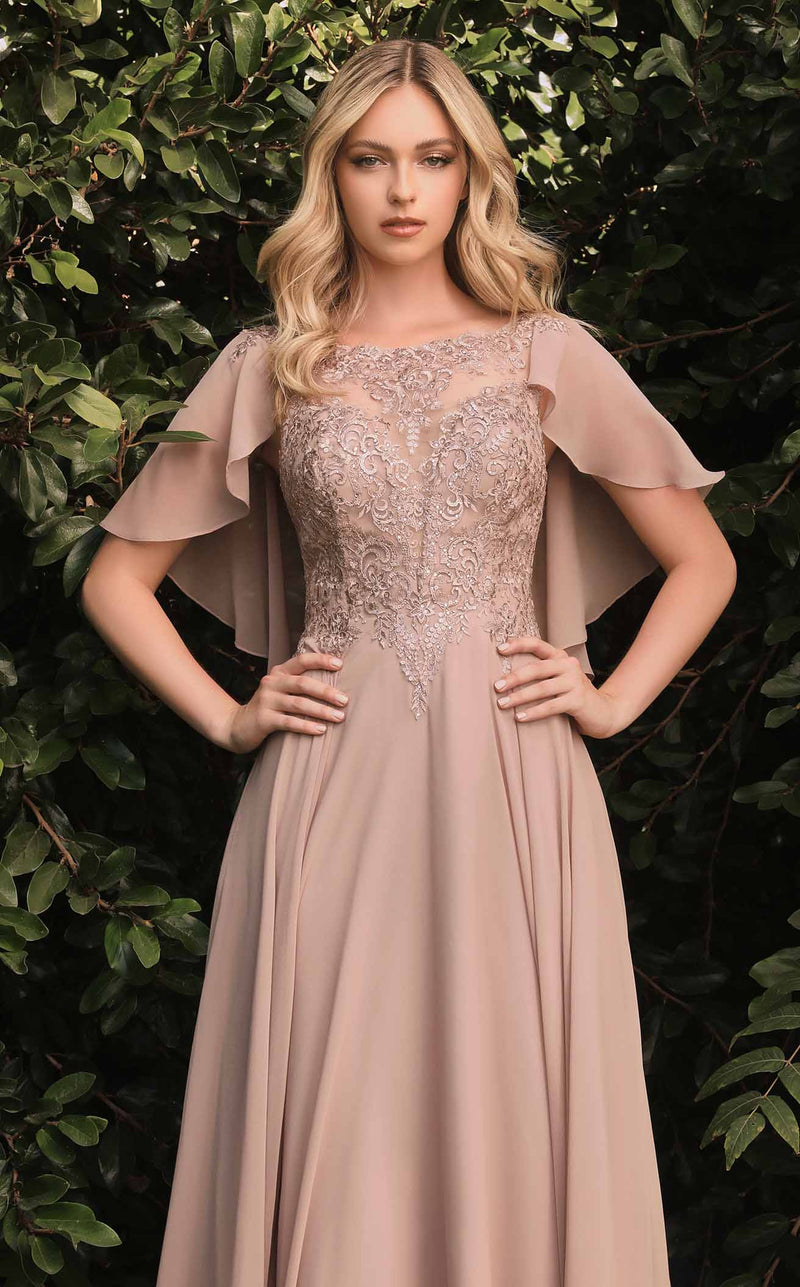 Cinderella Divine HT101 Dress Mocha